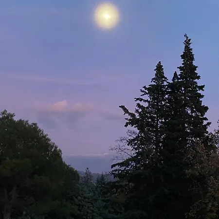 Casa Sant Angelo Διαμέρισμα Πέζαρο