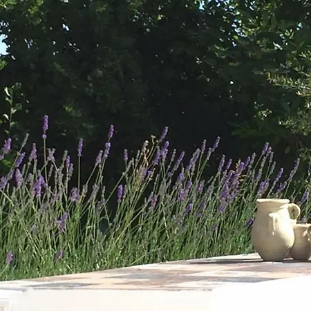 Διαμέρισμα Casa Sant Angelo