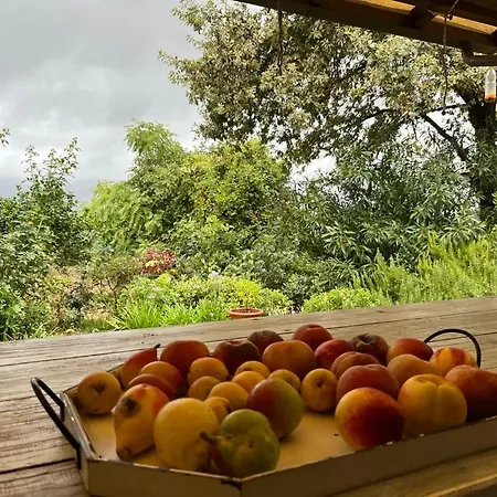 Διαμέρισμα Casa Sant Angelo