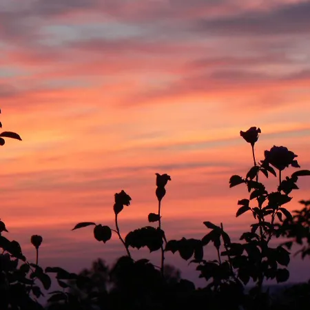 Casa Sant Angelo Διαμέρισμα *