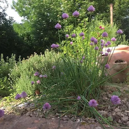 Casa Sant Angelo Διαμέρισμα Πέζαρο