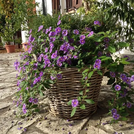 Casa Sant Angelo Pesaro