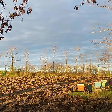 Casa Sant Angelo Appartement