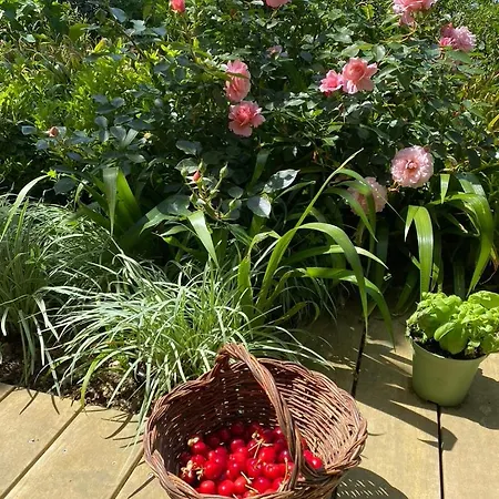 Casa Sant Angelo Appartement