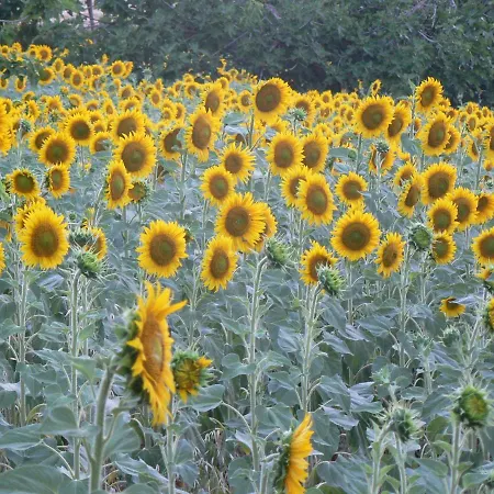 Casa Sant Angelo Appartement Pesaro
