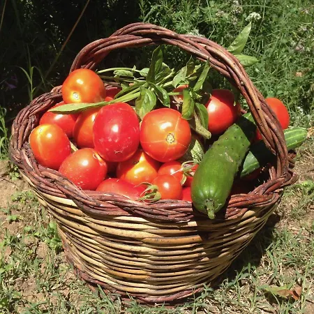 Casa Sant Angelo Apartman *