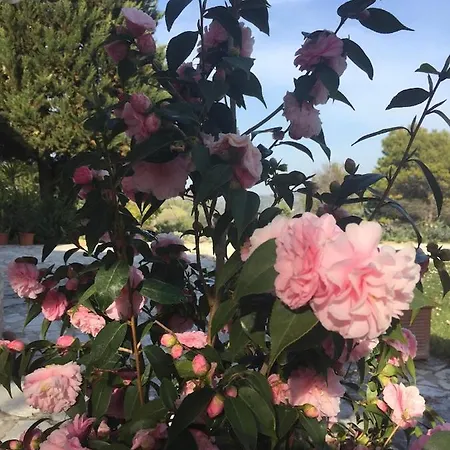 公寓 Casa Sant Angelo