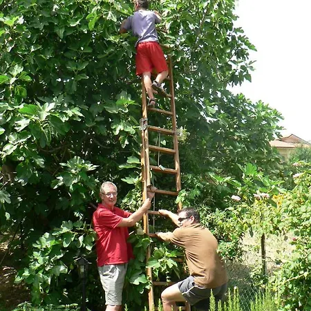 Casa Sant Angelo Pesaro