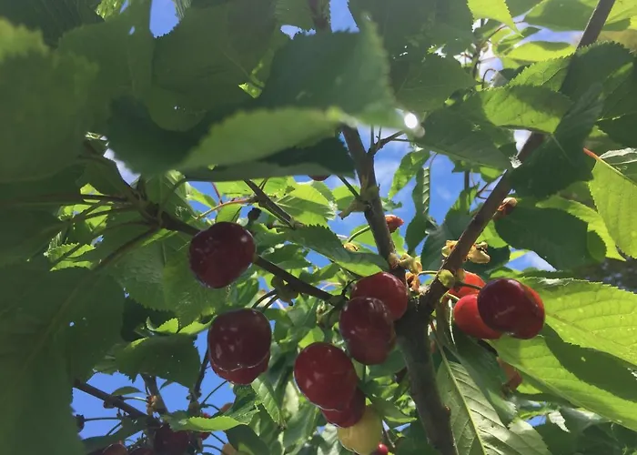 Casa Sant Angelo Appartamento Pesaro