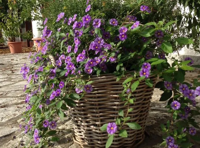 Casa Sant Angelo Pesaro