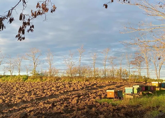 Casa Sant Angelo Apartamento