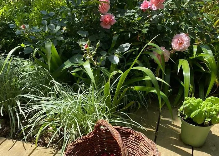 Casa Sant Angelo Apartamento