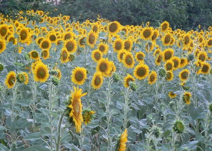 Casa Sant Angelo Appartamento Pesaro