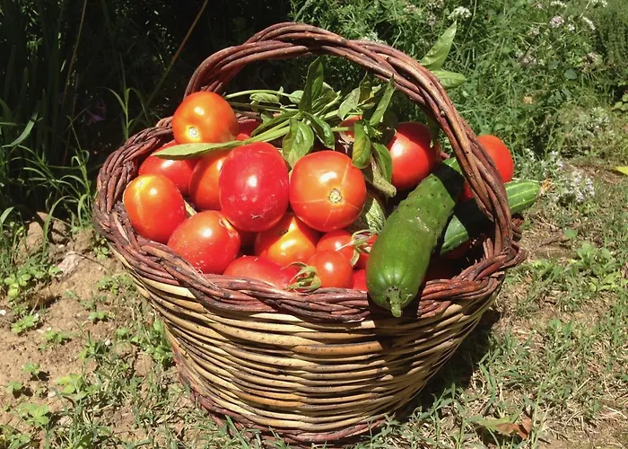 Casa Sant Angelo Apartamento *