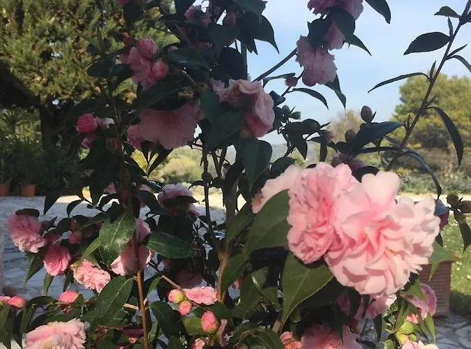 Apartamento Casa Sant Angelo