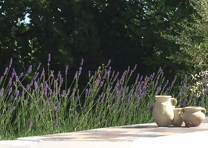 Apartamento Casa Sant Angelo