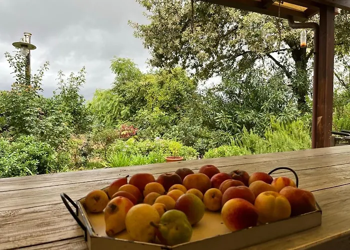 Apartamento Casa Sant Angelo