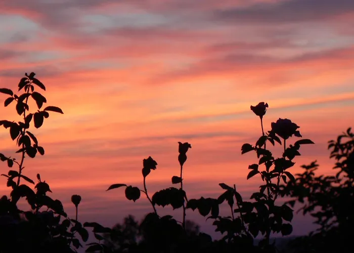 Casa Sant Angelo Apartamento *