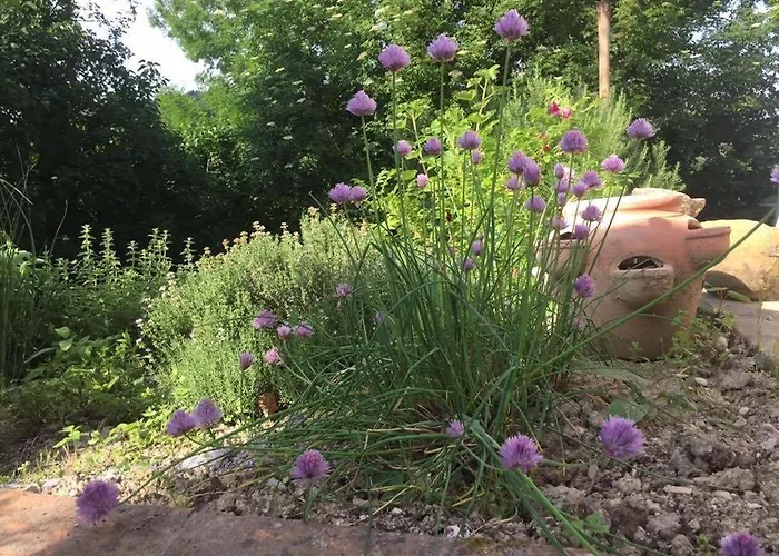Casa Sant Angelo Appartamento Pesaro